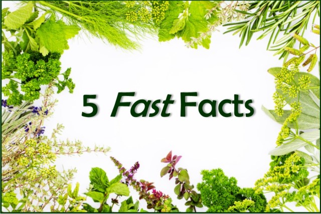 five-fast-facts